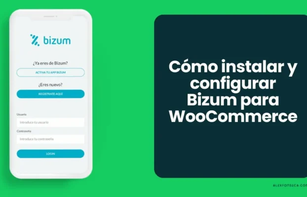Guía Completa: Cómo Integrar Bizum en WooCommerce Paso a Paso