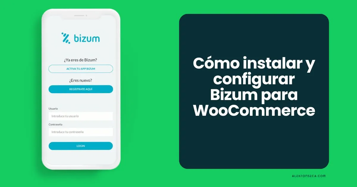 Guía Completa: Cómo Integrar Bizum en WooCommerce Paso a Paso