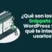 Code snippet para Wordpress